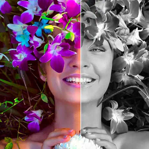 Corel AfterShot Pro 3 (Windows) Lifetime Cd Key Global